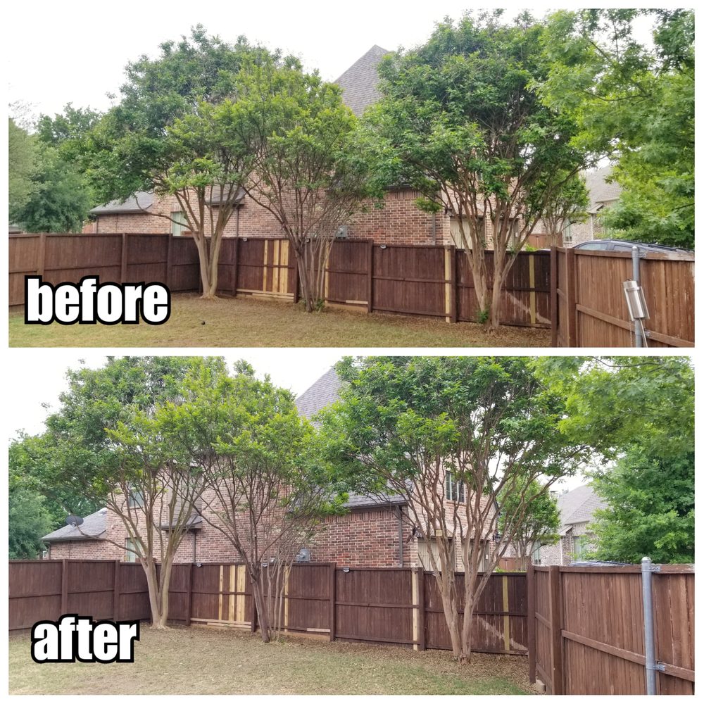 Wauson Tree Service