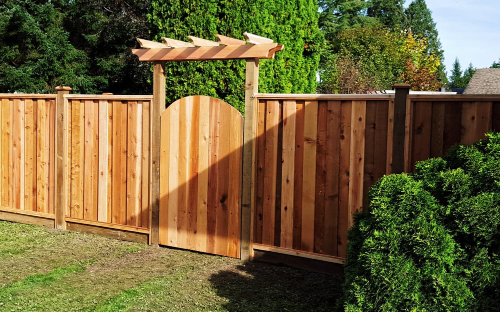 Coast Redwood Landscaping