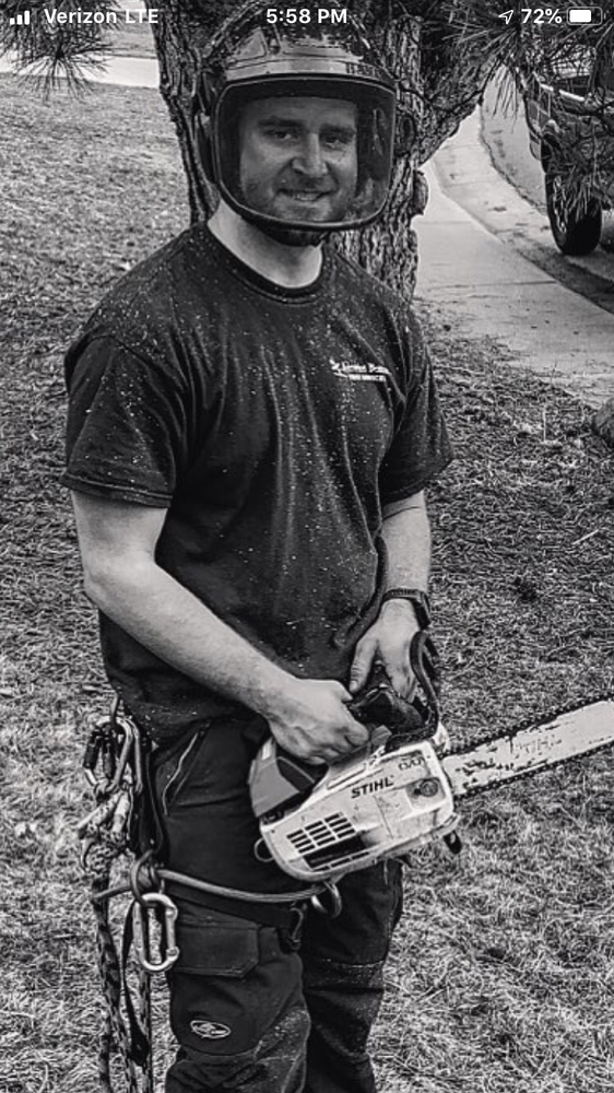 Jumping Branch Tree Service In Denver Colorado July 21 2021 At Denvercolocal Com