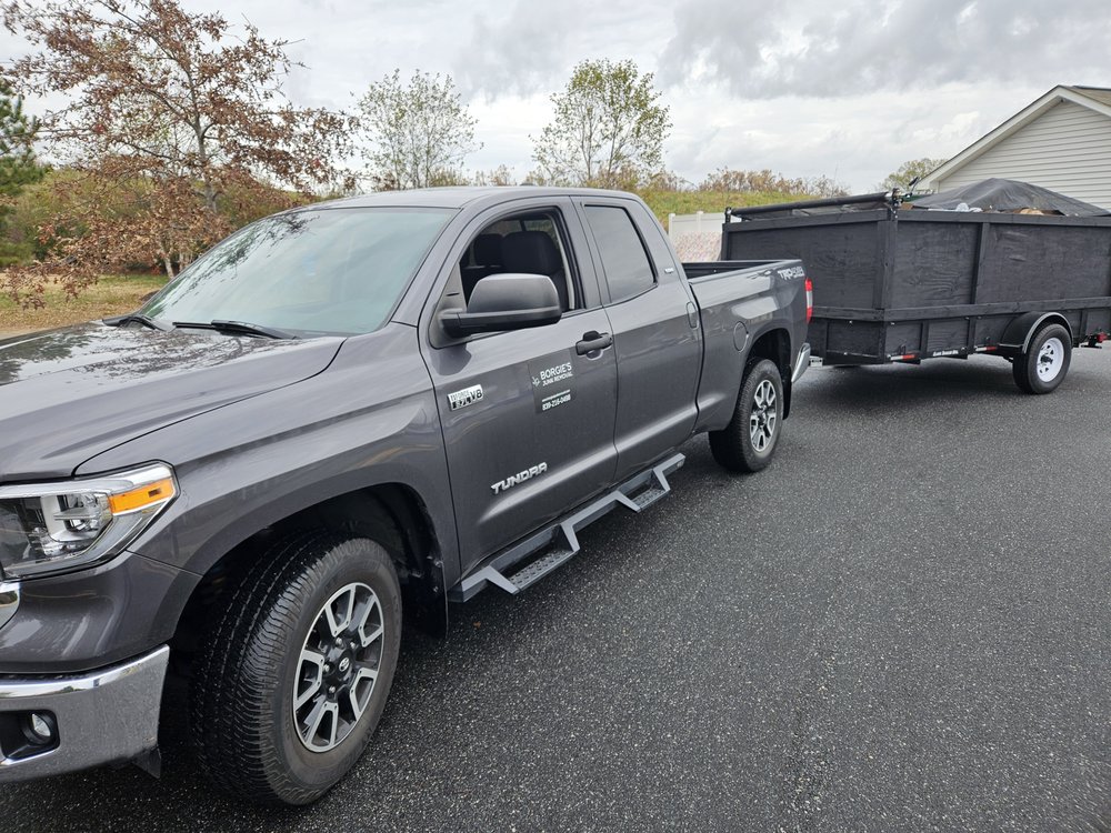 Borgie's Junk Removal