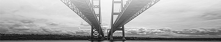 image of business Keiko Wada, DMD