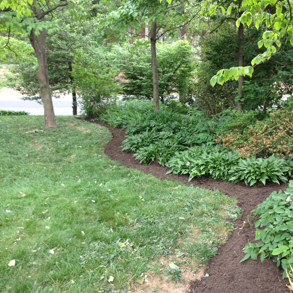 Bam S Landscaping 22 Reviews 3702 Perry Ave Bam S Landscaping 22 Reviews 3702 Perry Ave Kensington Md Phone Number Last Updated December 10 2018 Yelp