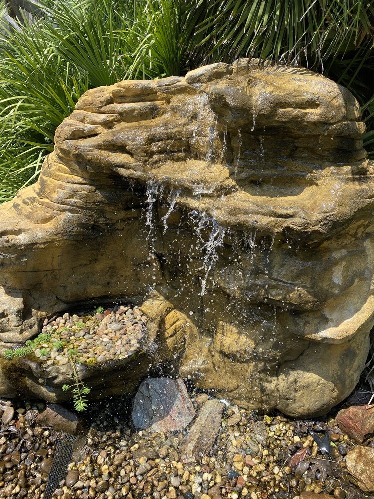 Water Garden Gems