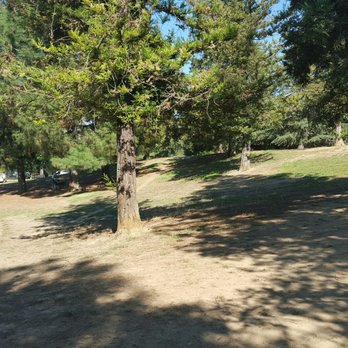 Partner Park Dog Park Sacramento Ca Partner Park Dog Park Sacramento Ca