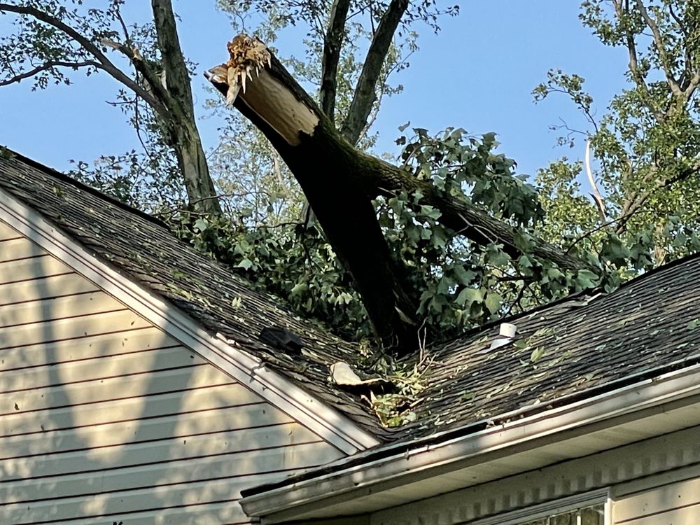 Corbo Tree & Landscaping Service