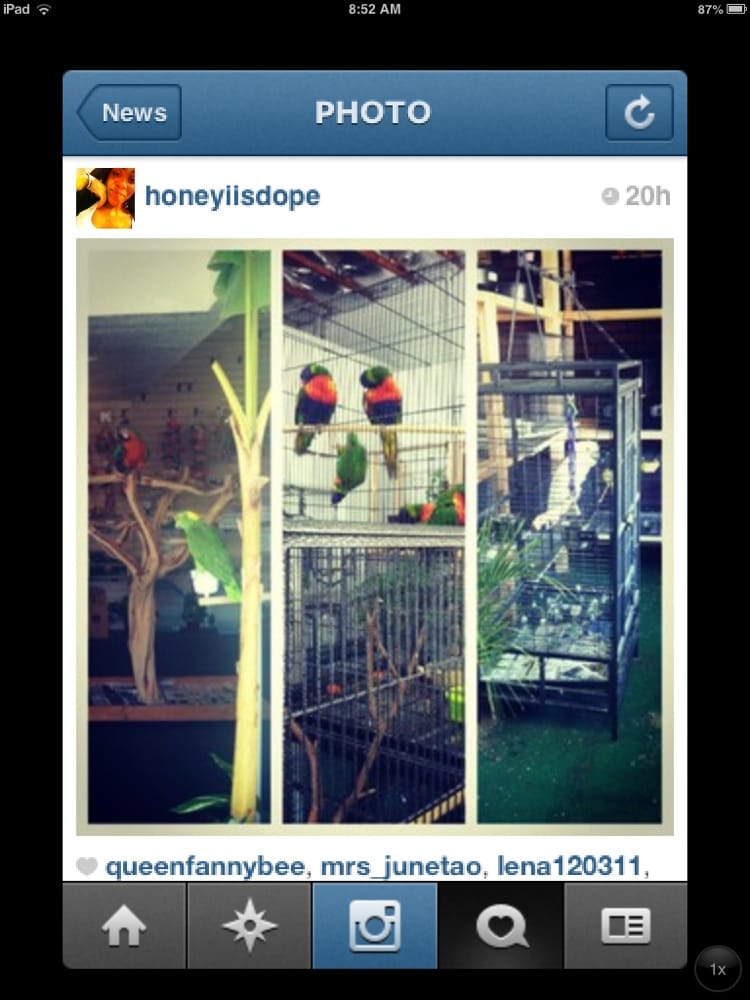 Reptile Haven & Exotic Birds Pet Stores 2050 E Vista Way, Vista, CA