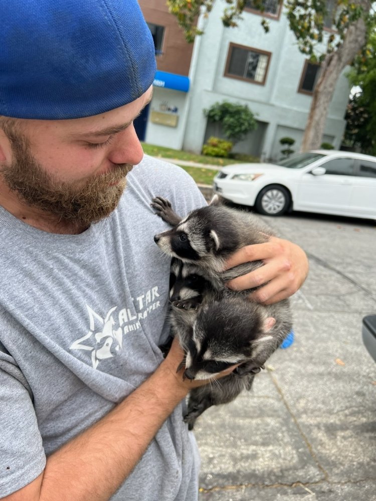 All Star Animal Trapping