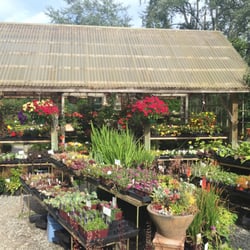 Gardens At Padden Creek Nurseries Gardening 2017 Old Fairhaven Photo Of Gardens At Padden Creek Bellingham Wa United States