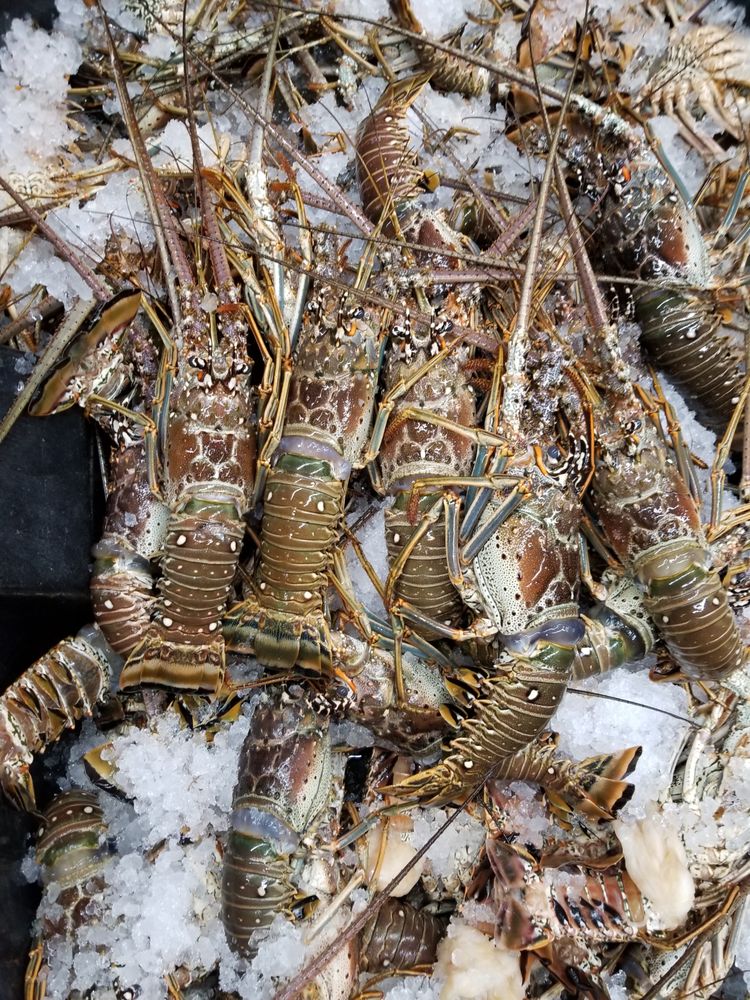Homestead Seafood And Meats Market