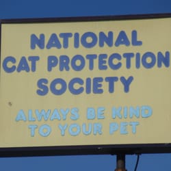 National Cat Society Newport Beach Ca National Cat Society Newport Beach Ca
