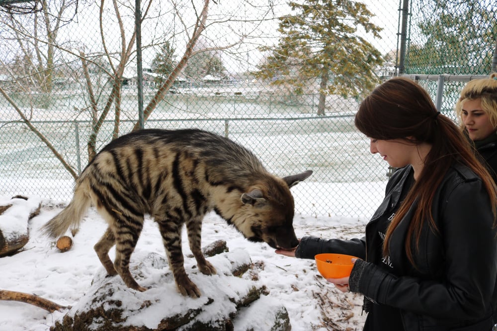 Jungle Cat World Wildlife Park 82 Photos & 24 Reviews Zoos 3667