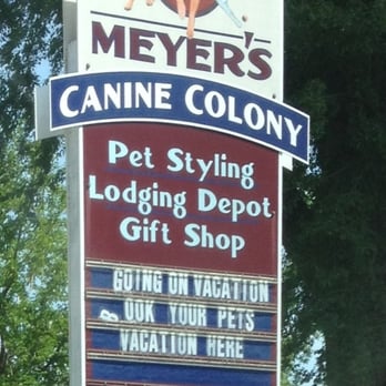canine colony pet sitting 10985 main st roscoe il canine colony pet sitting 10985 main st roscoe il