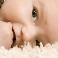 Carpet Upholstery Rug Cleaning 11666 Burbank About Carpet Cleaning Company