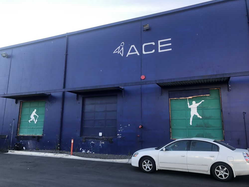 Ace Badminton Centre