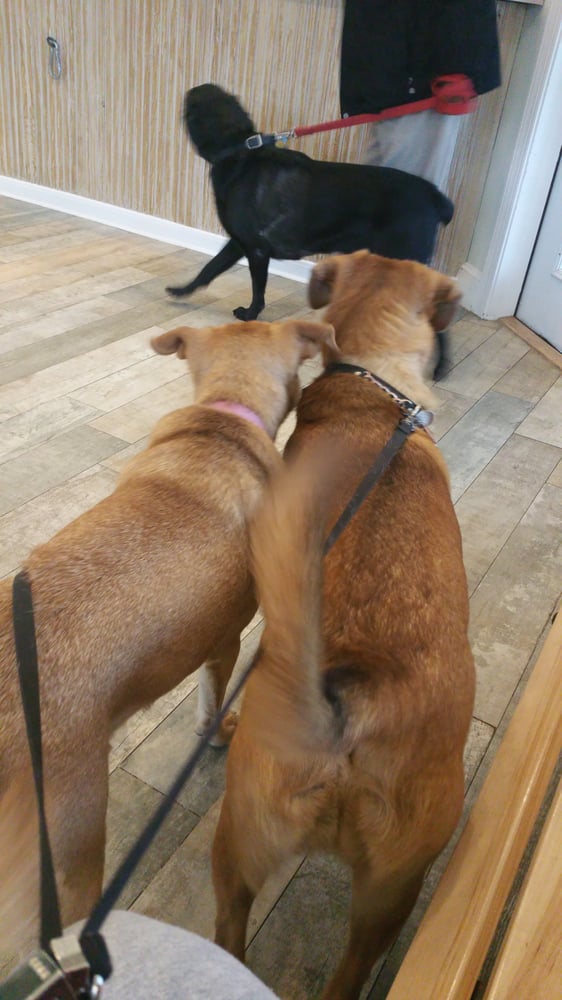 Quince Orchard Veterinary Hospital