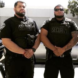 tactical security