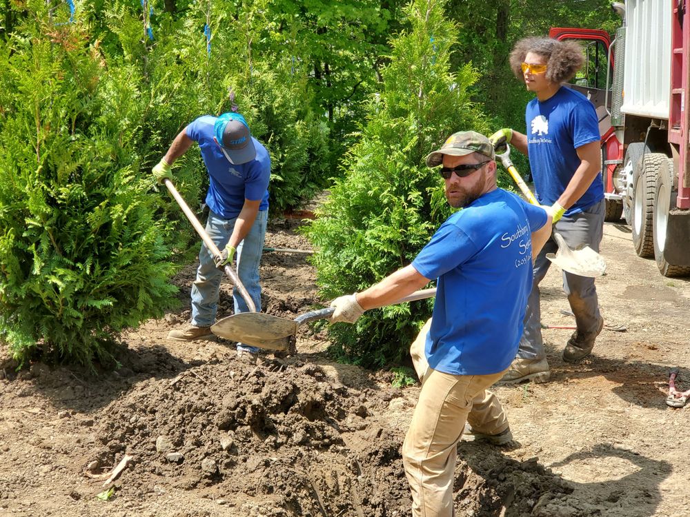 Southbury Tree Service