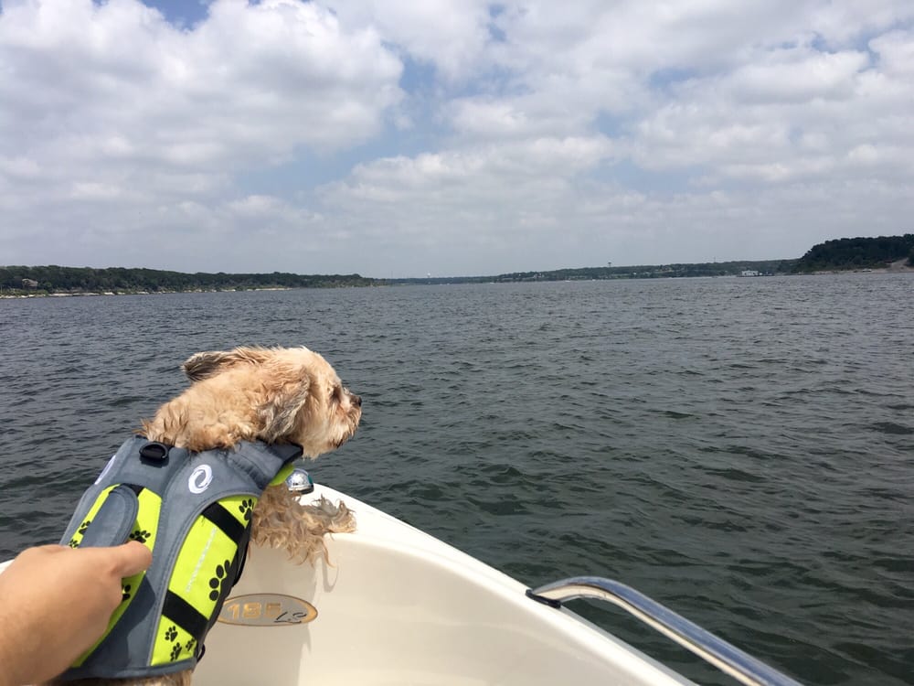 Belton Lake 25 Photos Lakes Belton, TX Phone Number Yelp