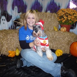creative dog training creative dog training