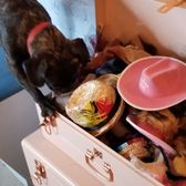 Photo of Boris & Horton - New York, NY, United States