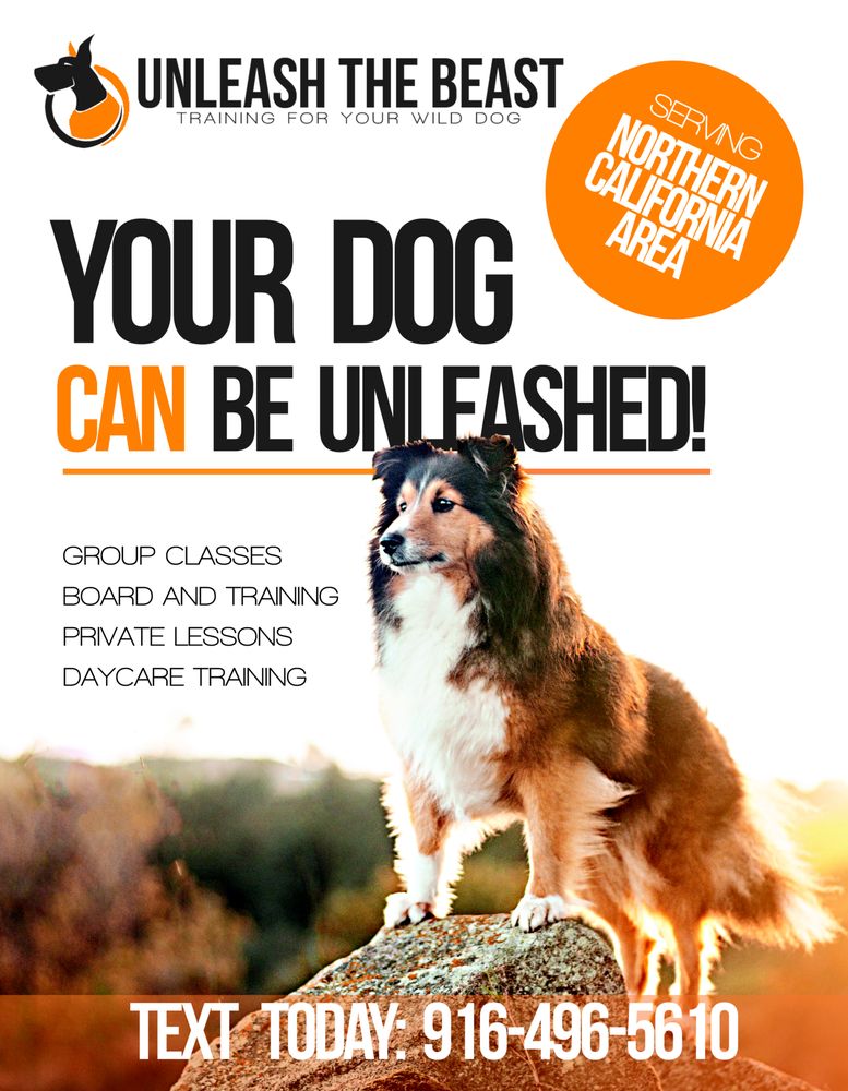 Dog Training Roseville Ca Dog Training Roseville Ca