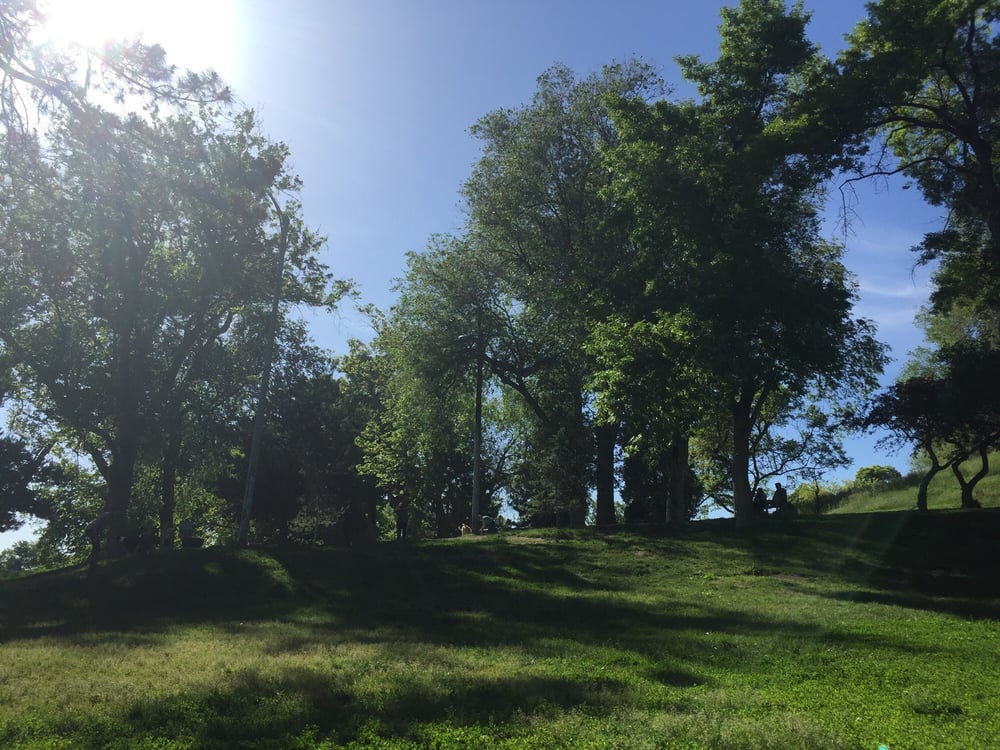 Lindsey Gardens 17 Photos & 11 Reviews Dog Parks The Avenues