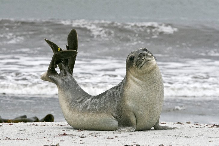 Mobile Notary With Seal