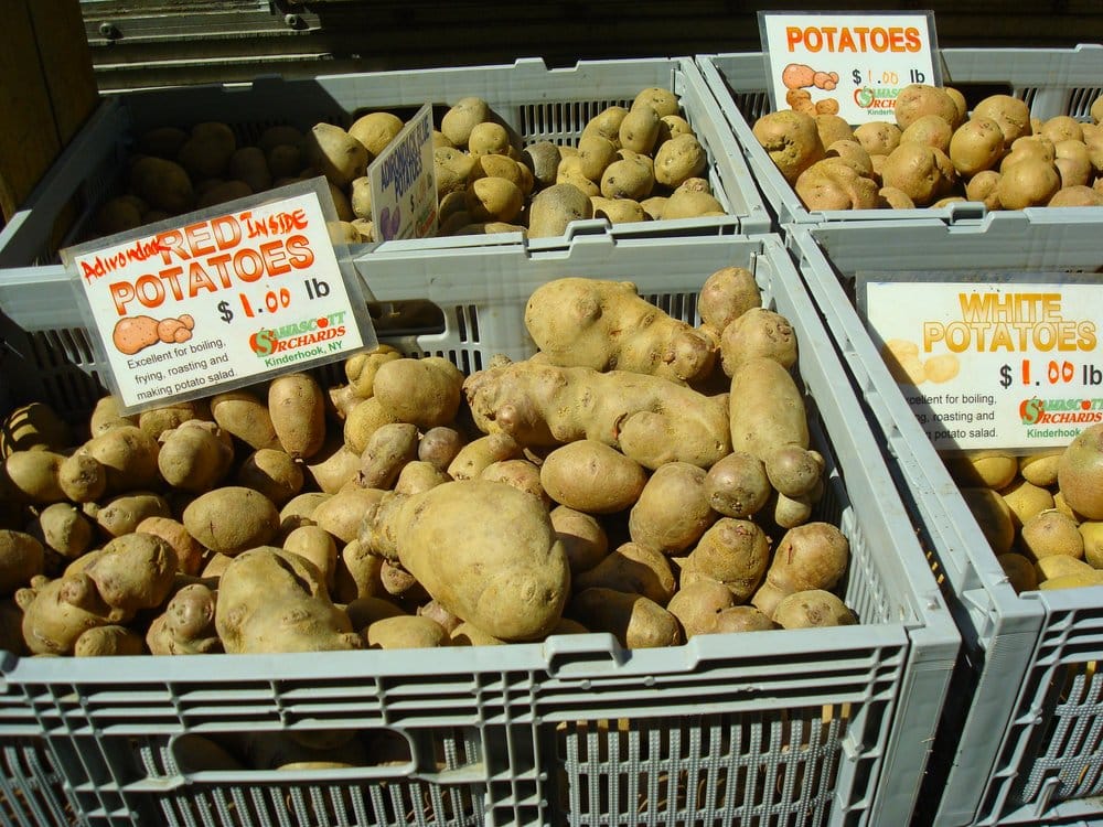 Columbia University Greenmarket