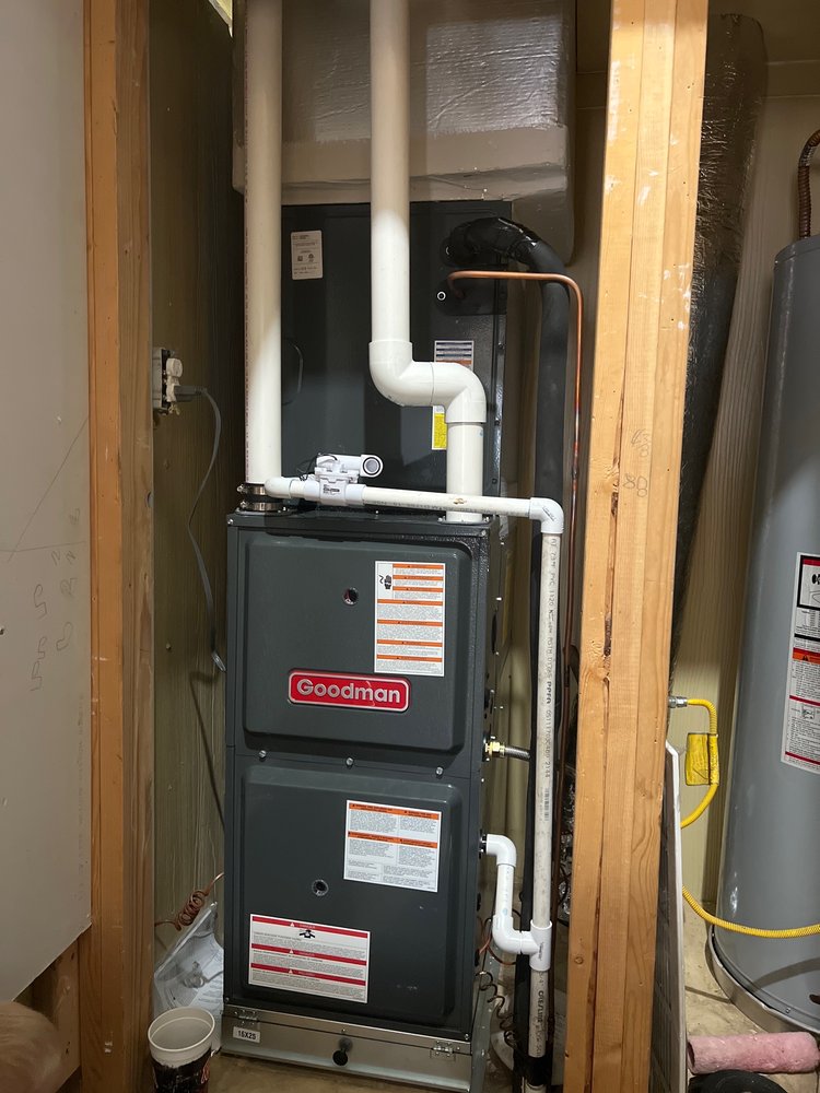 image of business Zip Air