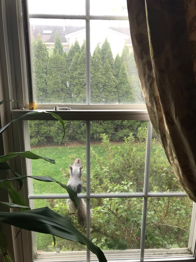 DQ Pest Control