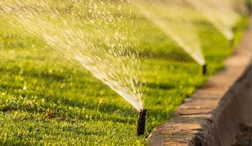 Morris & Bergen Irrigation