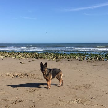 Ventura State Beach 117 Photos 31 Reviews Beaches 1198 S Photo Of Ventura State Beach Ca United States My Gsd On