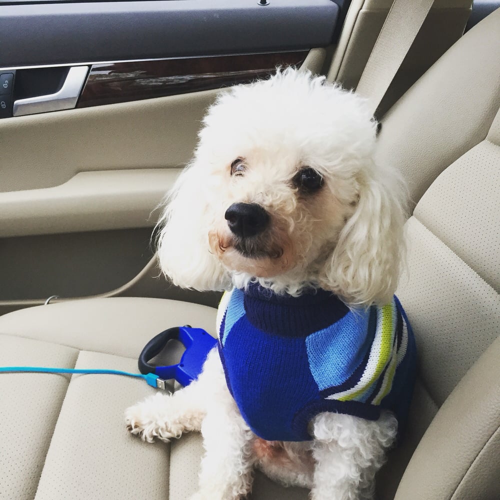 Pet Valu Oakton