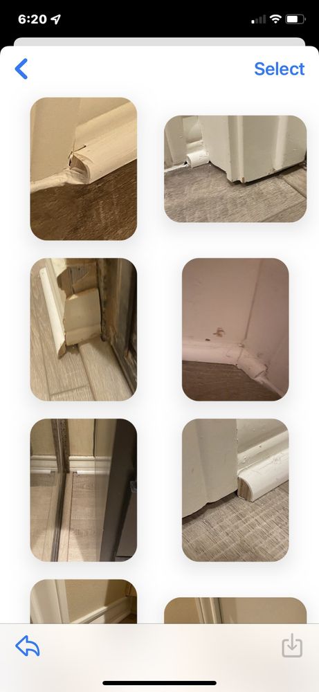 image of business Raider Flooring