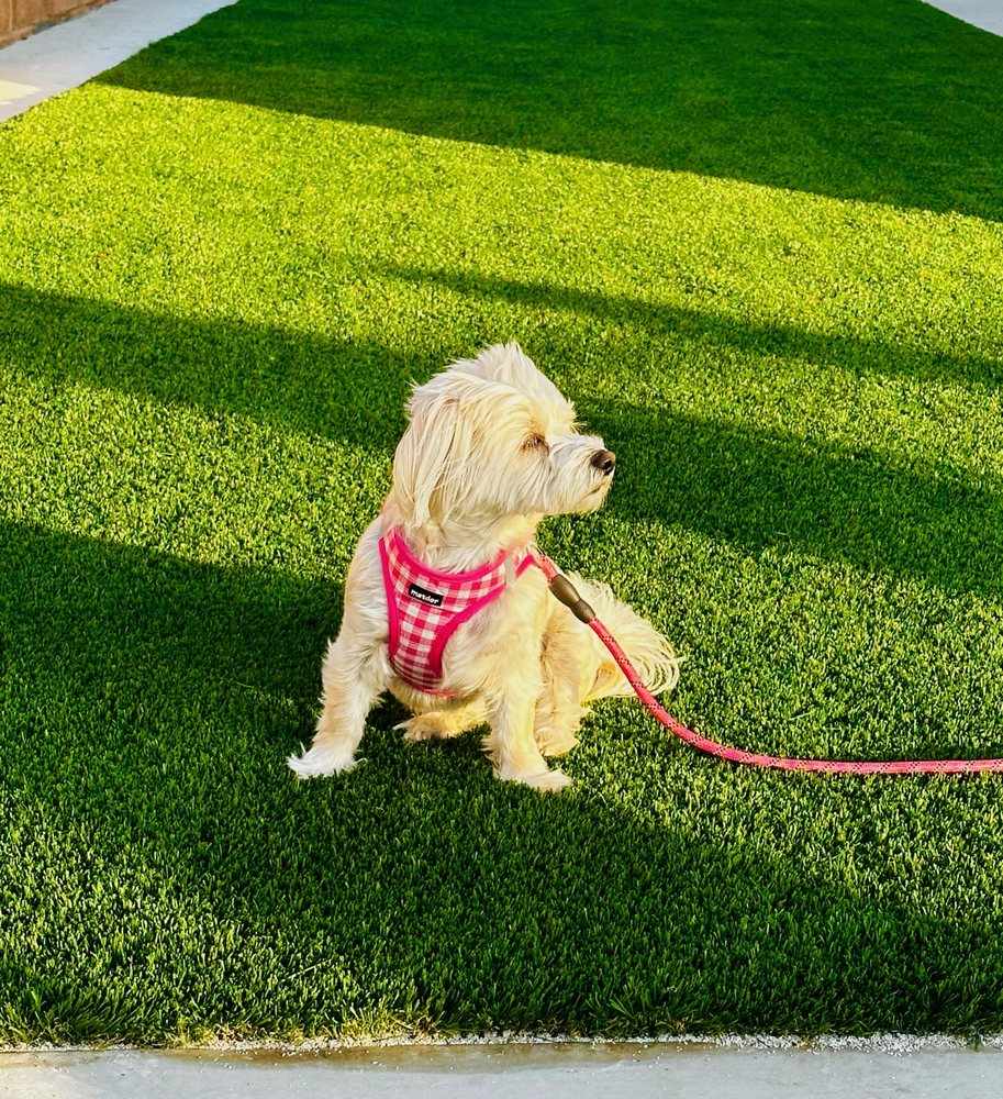 GreenFreak Home Solutions