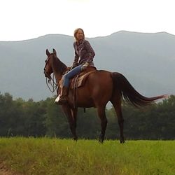 Four Seasons Lodge - 67 Photos - Vacation Rentals - 31 Whiskiers Ln