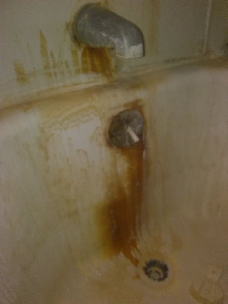 Portuguese Cleaning Services