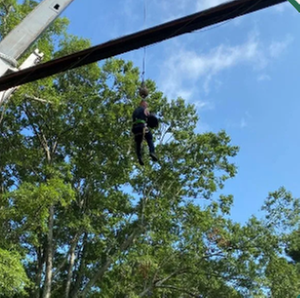 Addison Tree Care