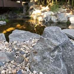 Hashimoto Nursery 135 Photos 106 Reviews Nurseries Gardening Photo Of Hashimoto Nursery Los Angeles Ca United States Pond By Lance