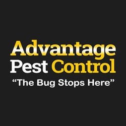 Advantage Pest Control