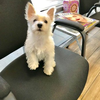 barkworks pet stores 47 photos 80 reviews pet stores 1118 bark works riverside