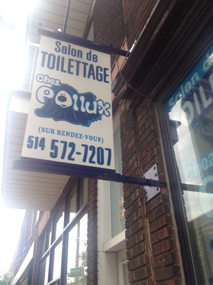 Chez Pollux Salon De Toilettage