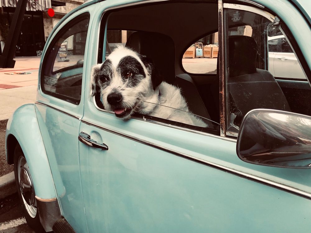 Terry's Custom Auto Works