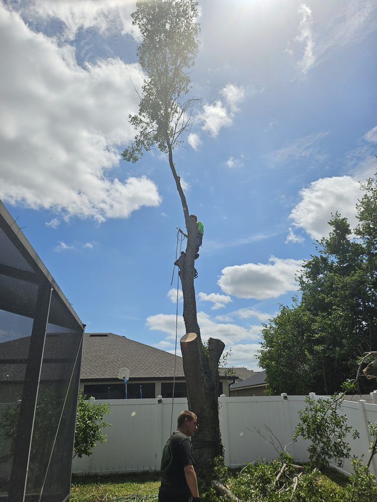 Volusia Bobcat & Tree Service