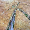 Culinary Deliveries & Pizzeria