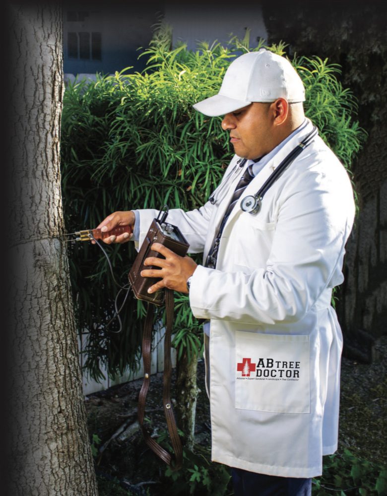 AB Tree Doctor
