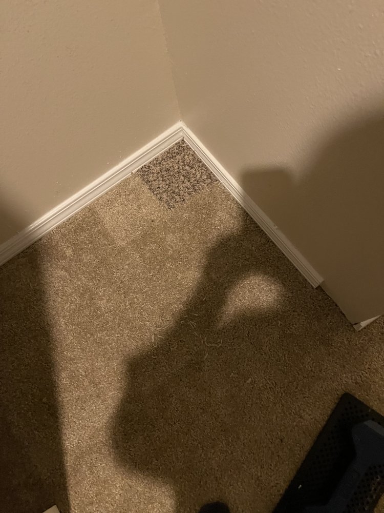 Seattle Carpet Re-Stretch and Repair