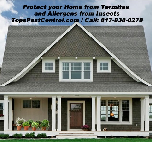 Tops Termite & Pest Control