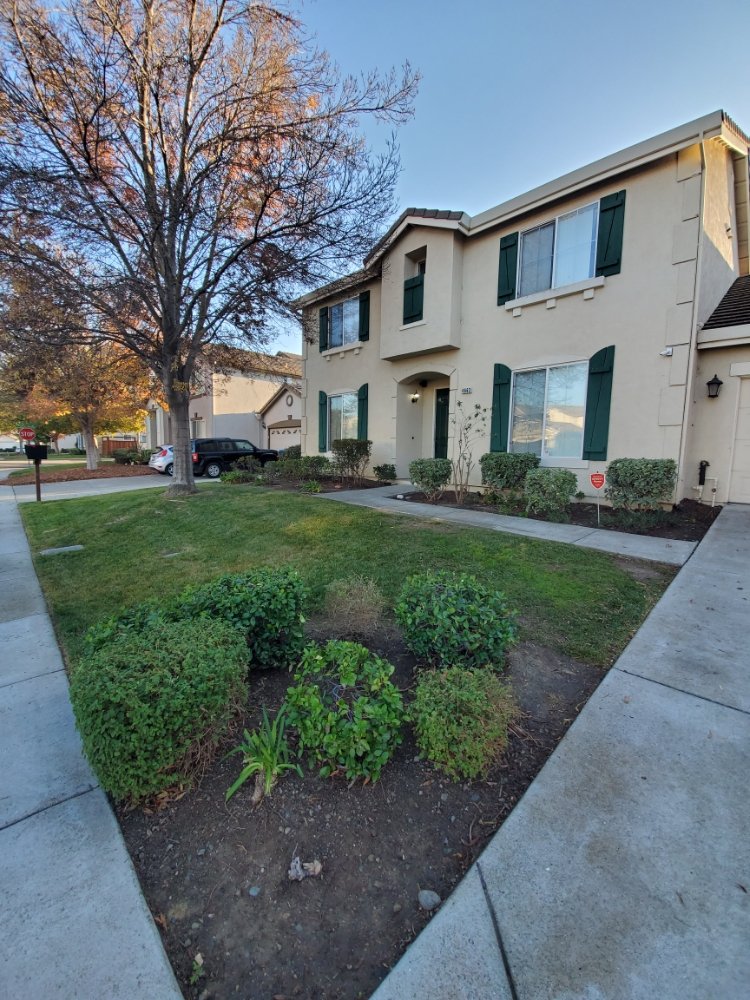 Crescencio's Gardening And Landscaping