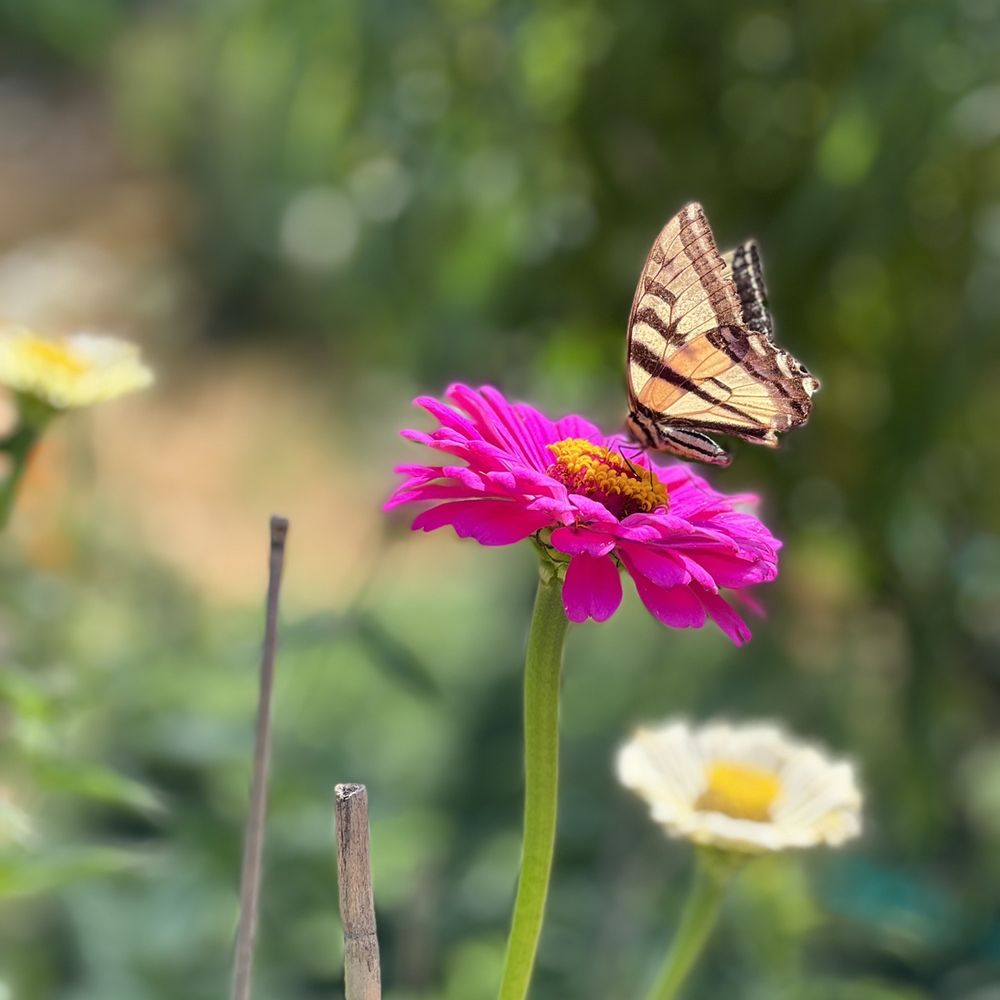 Things to Do on a Day Trip to Bodega Bay Yelp